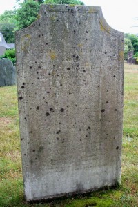Freeman, Elizabeth