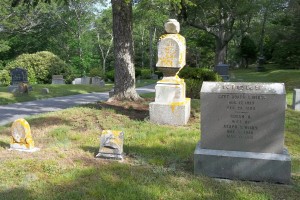 Capt Asaph S Wicks family Headstones