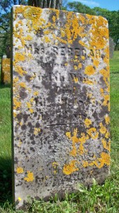 Wing, Rebecah
